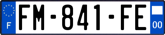 FM-841-FE
