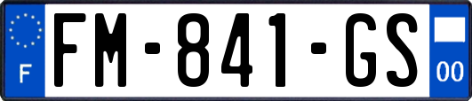 FM-841-GS
