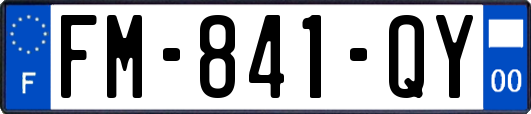 FM-841-QY