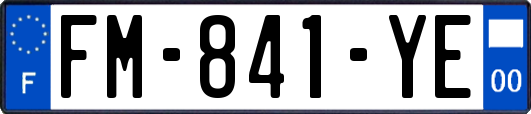 FM-841-YE