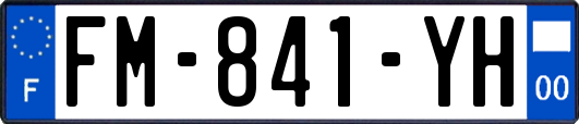 FM-841-YH