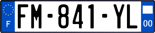 FM-841-YL