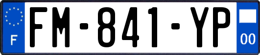 FM-841-YP