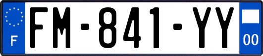 FM-841-YY