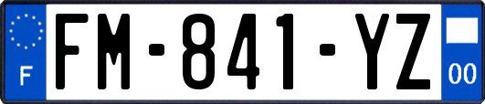 FM-841-YZ