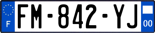 FM-842-YJ