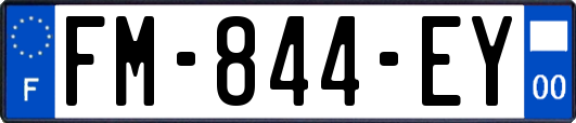 FM-844-EY