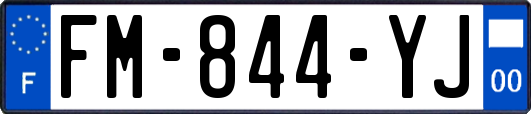 FM-844-YJ