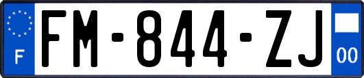 FM-844-ZJ
