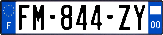 FM-844-ZY