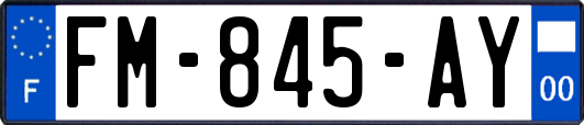 FM-845-AY