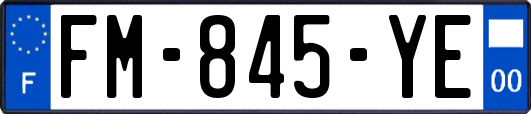 FM-845-YE