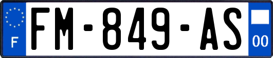 FM-849-AS