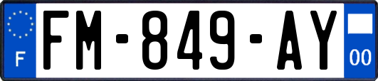 FM-849-AY