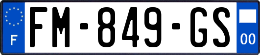 FM-849-GS