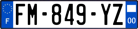 FM-849-YZ