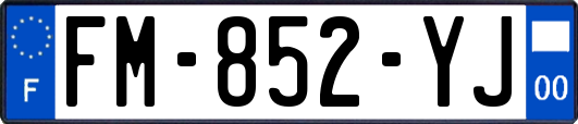 FM-852-YJ