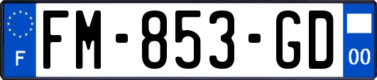 FM-853-GD