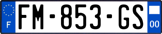 FM-853-GS