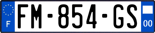 FM-854-GS