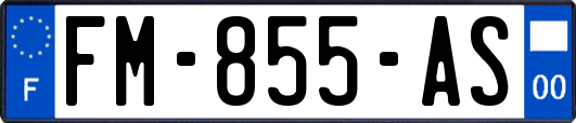 FM-855-AS