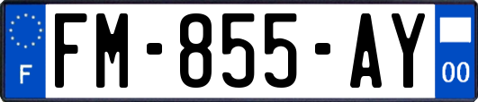 FM-855-AY