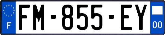 FM-855-EY