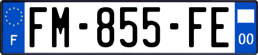 FM-855-FE
