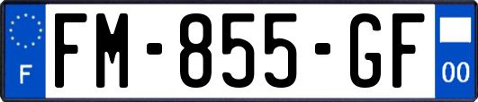 FM-855-GF