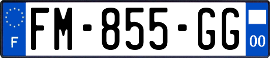 FM-855-GG