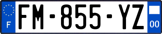FM-855-YZ