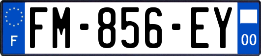 FM-856-EY