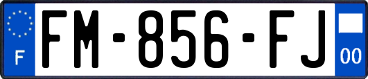FM-856-FJ