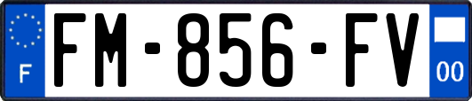 FM-856-FV