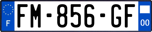 FM-856-GF