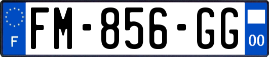 FM-856-GG