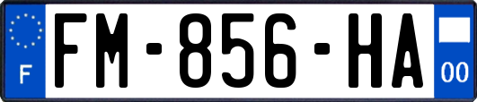 FM-856-HA