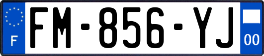 FM-856-YJ