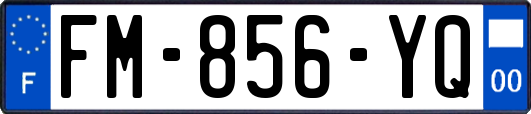 FM-856-YQ
