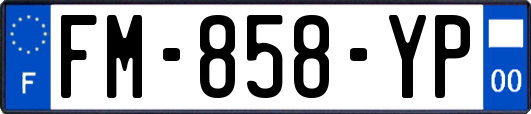 FM-858-YP