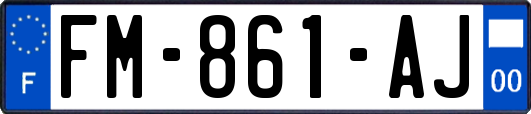 FM-861-AJ