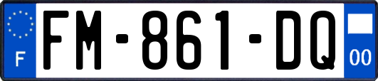 FM-861-DQ