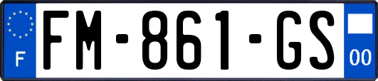 FM-861-GS