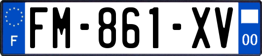 FM-861-XV