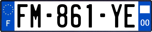 FM-861-YE