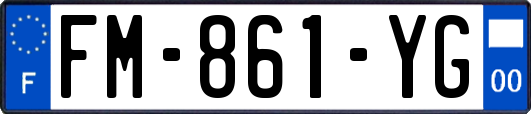 FM-861-YG