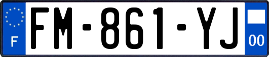 FM-861-YJ