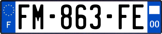 FM-863-FE