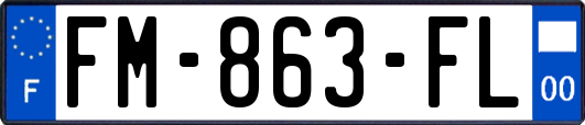 FM-863-FL