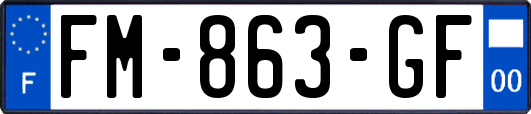 FM-863-GF